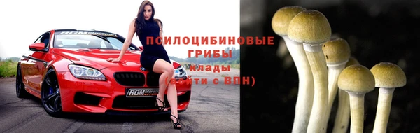бошки Аркадак