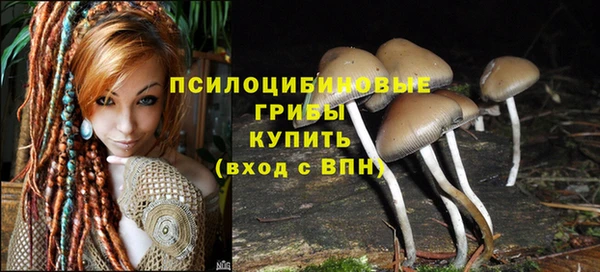 бошки Аркадак