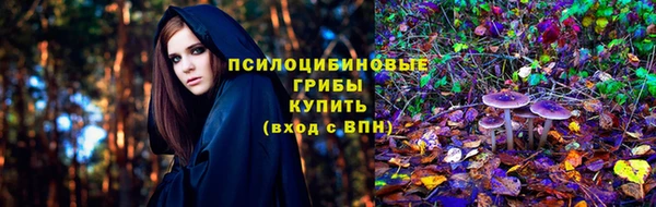 бошки Аркадак