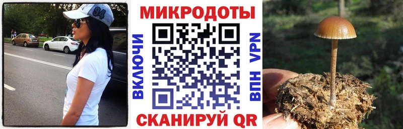 Галлюциногенные грибы MAGIC MUSHROOMS  цена   кракен онион  Заинск 
