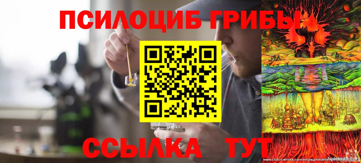 Галлюциногенные грибы Cubensis  Вход с VPN  Галлюциногенные грибы Cubensis  Заинск 